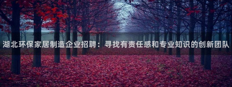 意昂5(KGAME)软件：湖北环保家居制造企业招聘：寻找有责