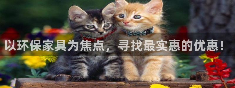 意昂5(KGAME)平台的专用通道