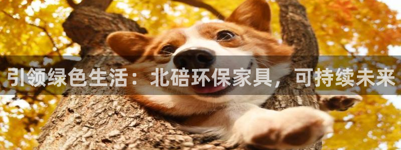 意昂5(KGAME)官方测速：引领绿色生活：北碚环保家具，可