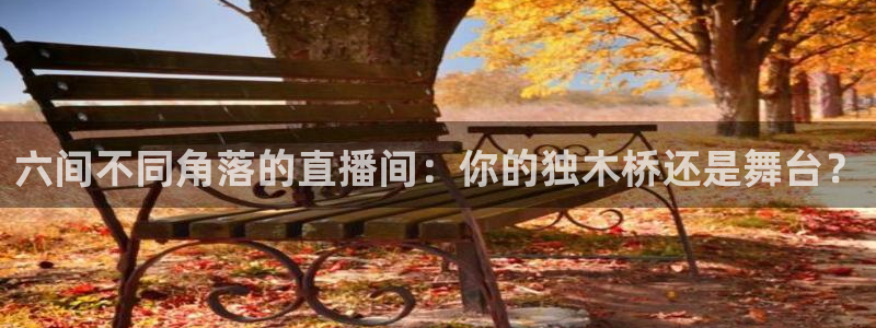 360足球直播视频雨燕：六间不同角落的直播间：你的独木桥还是舞台？