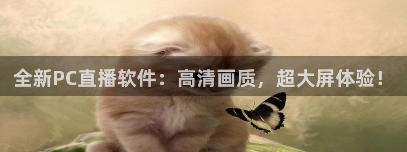 360体育比赛在线直播：全新PC直播软件：高清画质，超大屏体验！