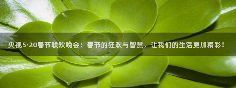 雨燕360足球直播：央视5·20春节联欢晚会：春节的狂欢与智慧，让我们的生活更加精彩！