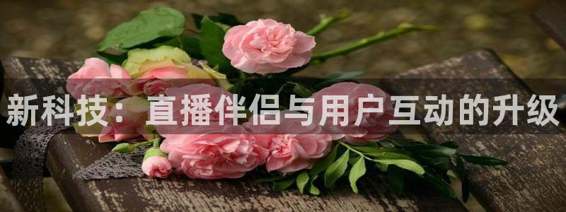 360直播网体育直播视频：新科技：直播伴侣与用户互动的升级