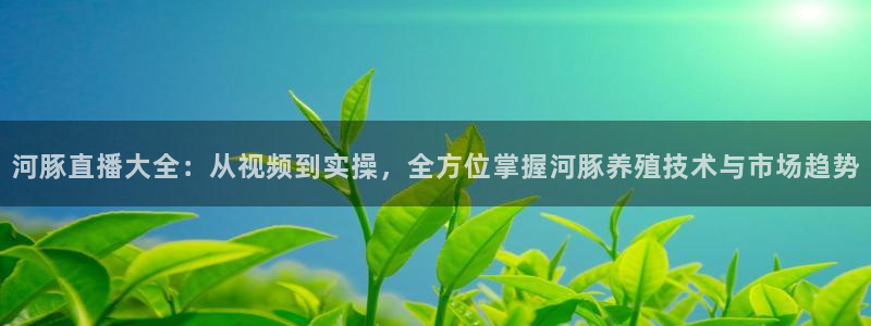 360直播体育直播录像：河豚直播大全：从视频到实操，全方位掌握河豚养殖技术与市场趋势